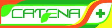 Partner 5